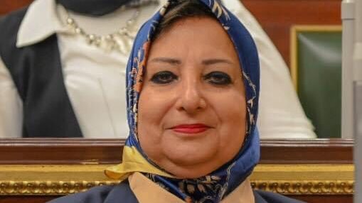 النائبة نسرين عمر عضو مجلس النواب 