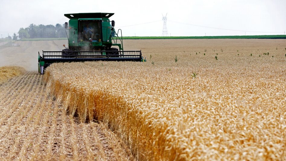 تراجع طفيف في أسعار الأغذية عالميًا والقمح يواصل ارتفاعه