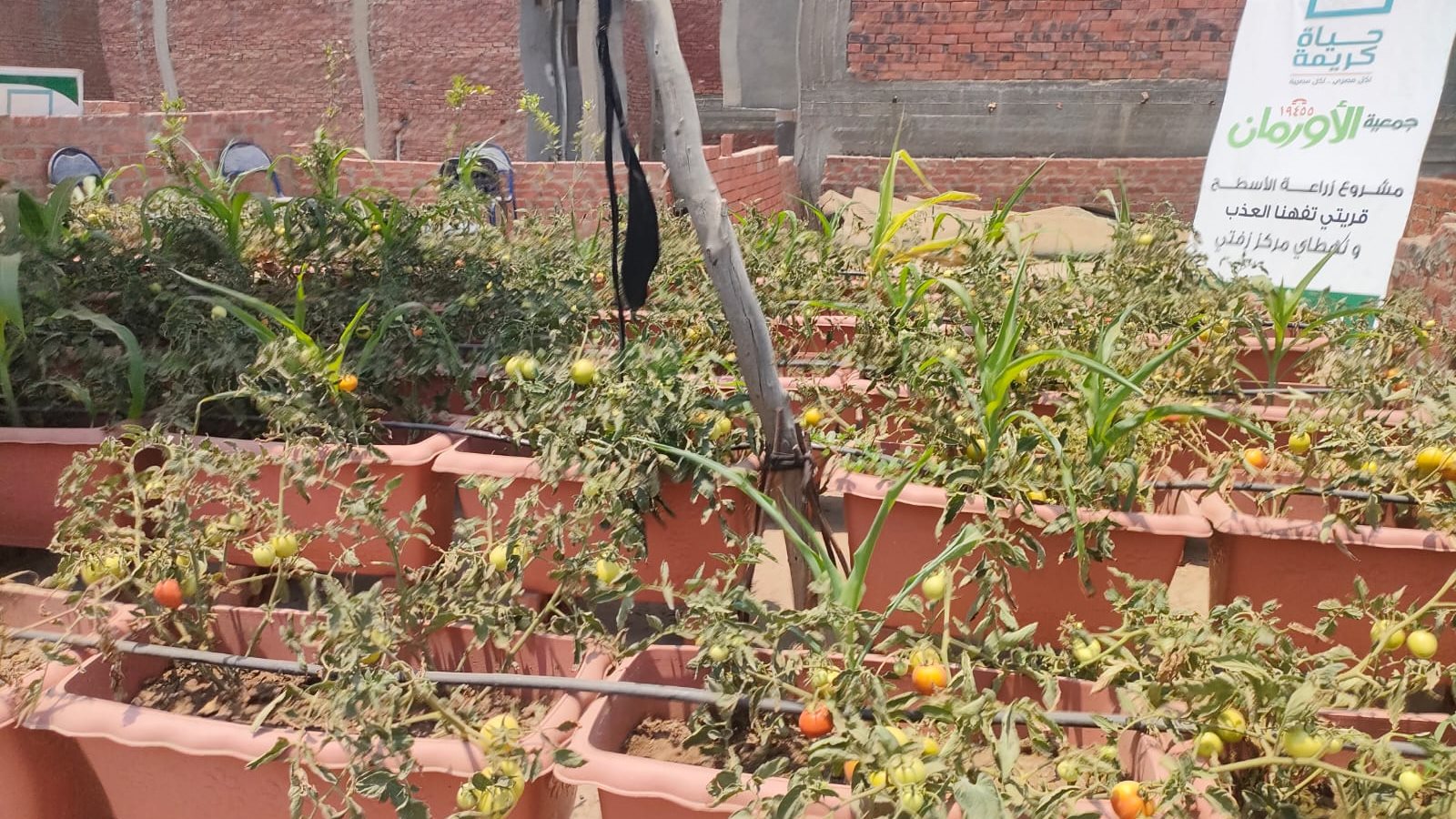 تضامن الغربية