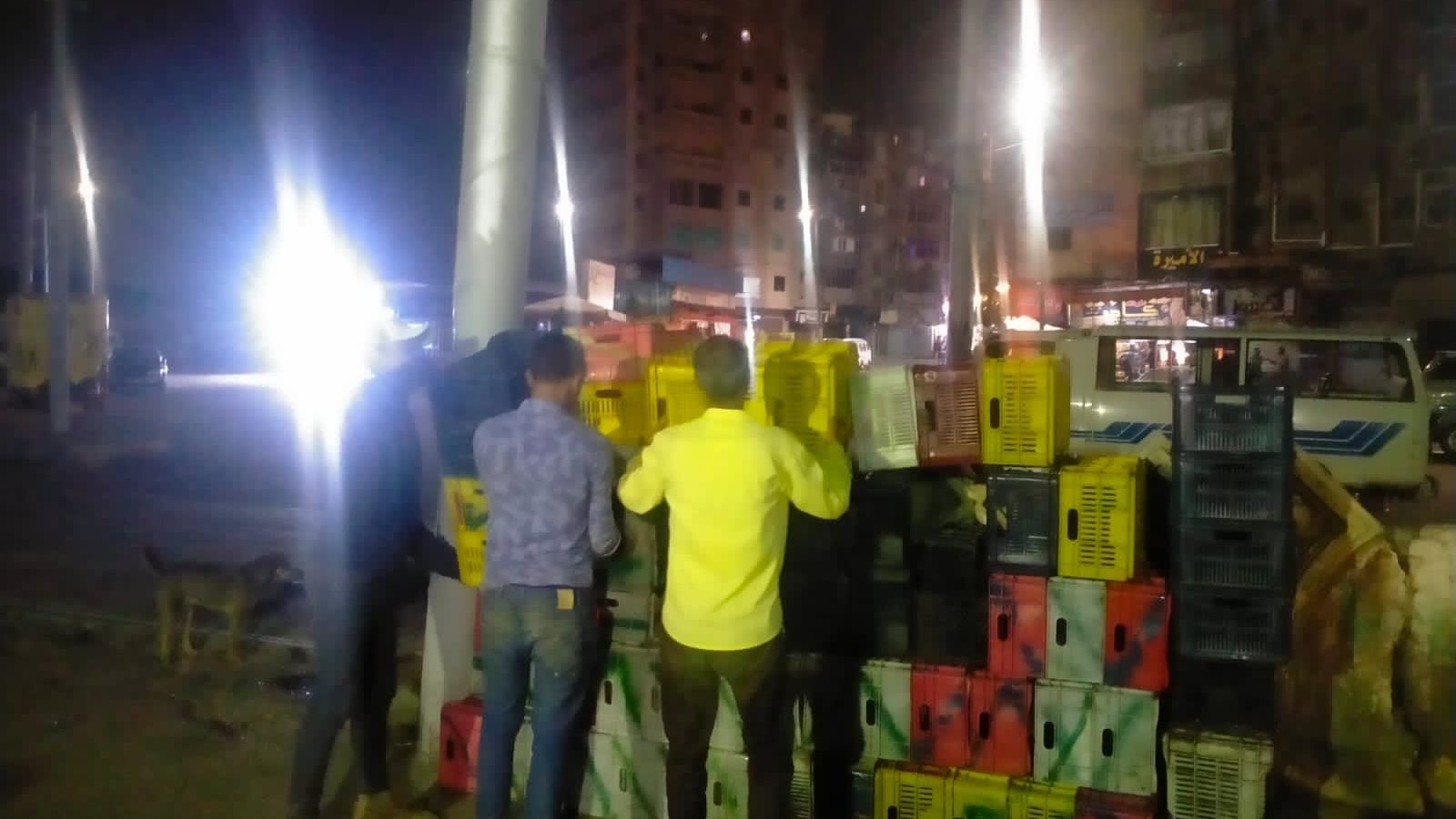 حملات مكبرة غربي الإسكندرية