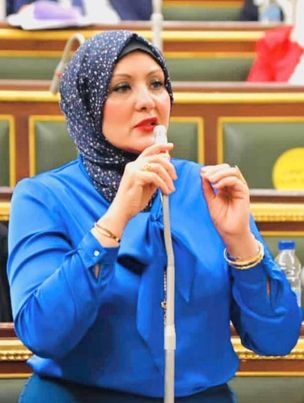 النائبة هناء فاروق