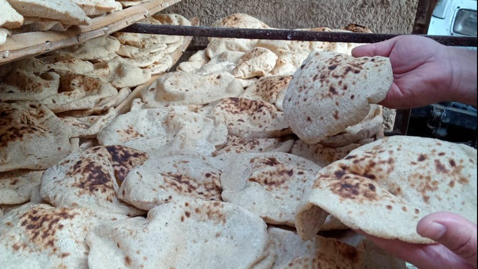 صوره من الحملات