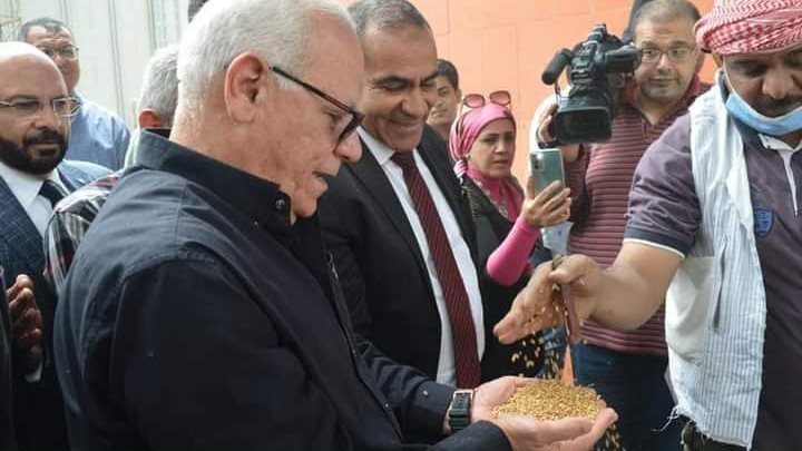 توريد القمح 