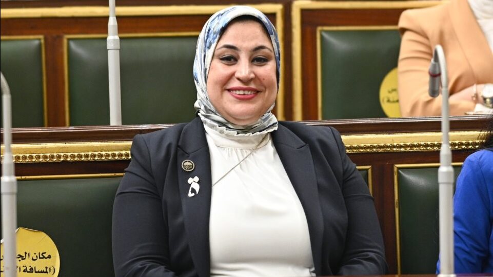 النائبة ولاء التمامي عضو مجلس النواب