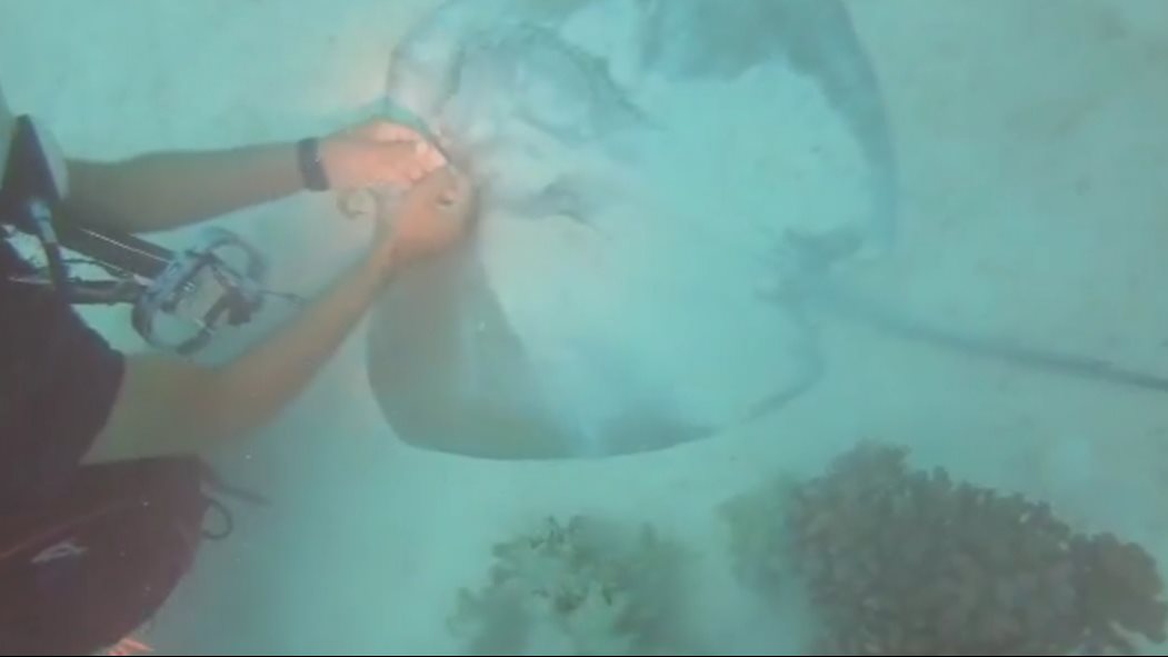 صوره موضوعية