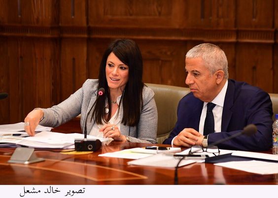 وزيرة التعاون الدولي بلجنة العلاقات الخارجية بمجلس النواب