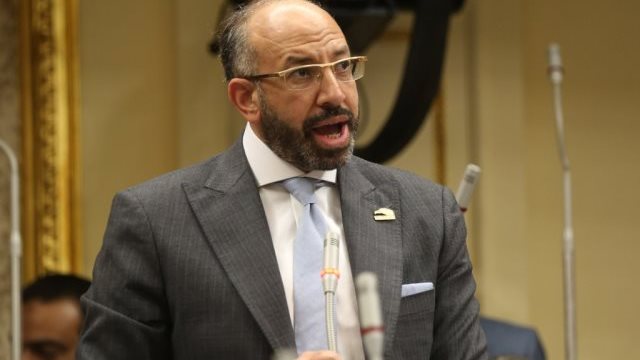  الدكتور حسام المندوه الحسيني، عضو مجلس النواب