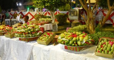 مهرجان المانجو بأسوان