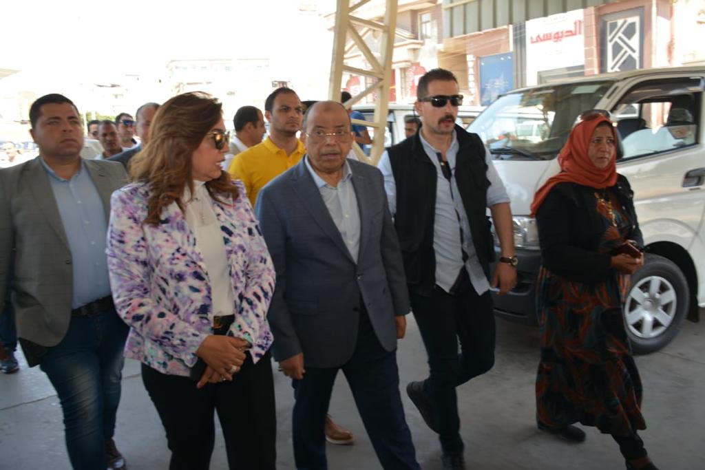 جولة وزير التنمية المحلية بدمياط
