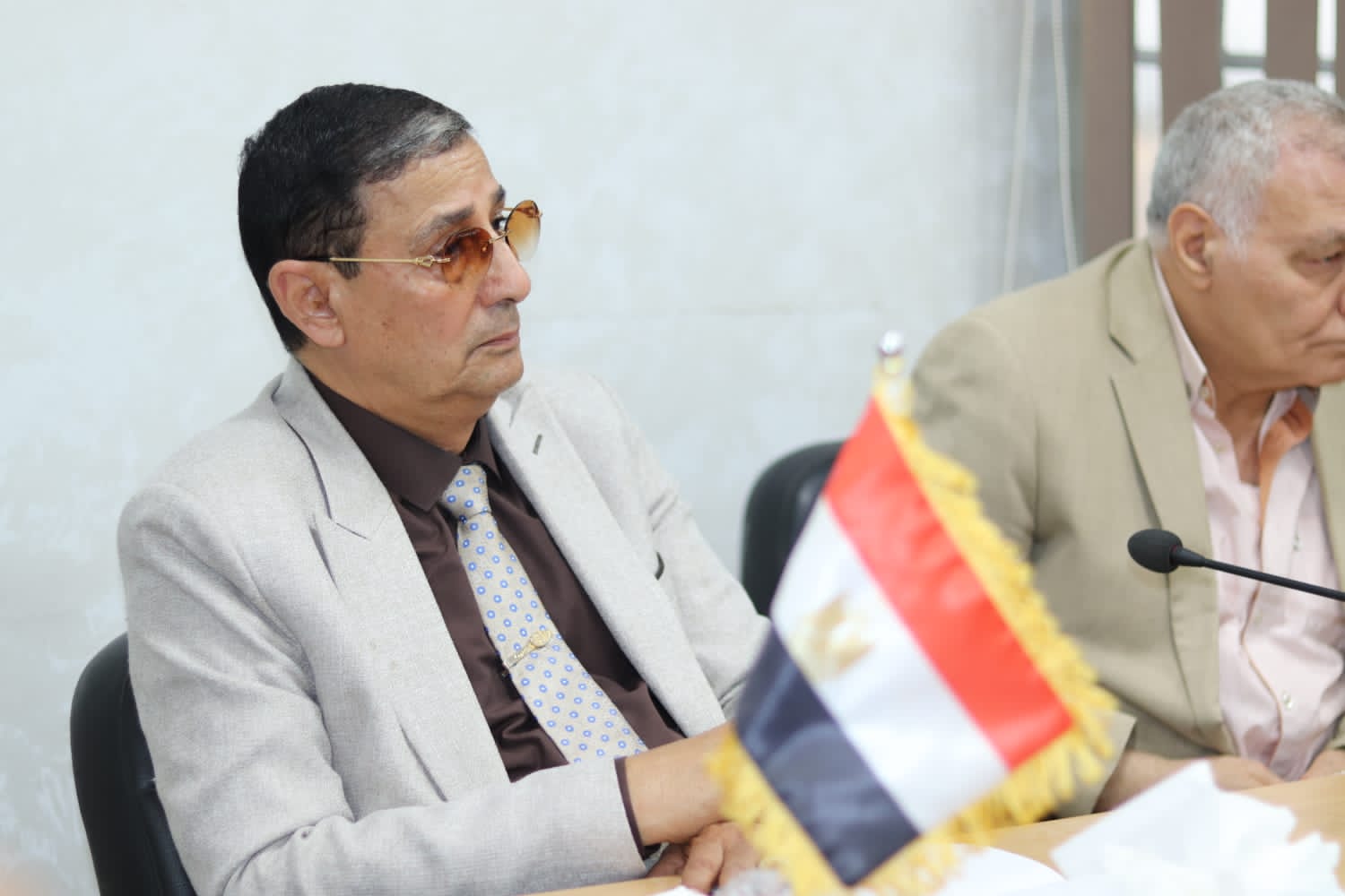  الدكتور أحمد الضبع