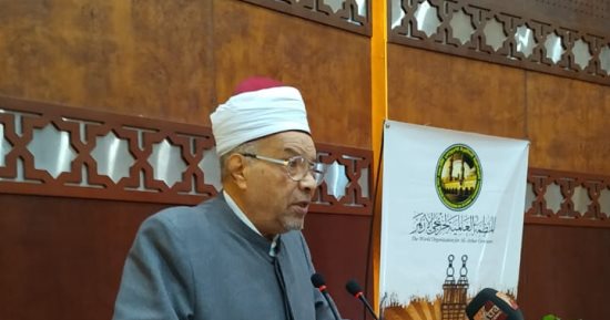 الدكتور محمد عبد الفضيل القوصي
