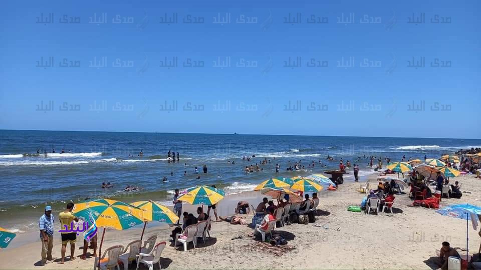 مصيف بلطيم