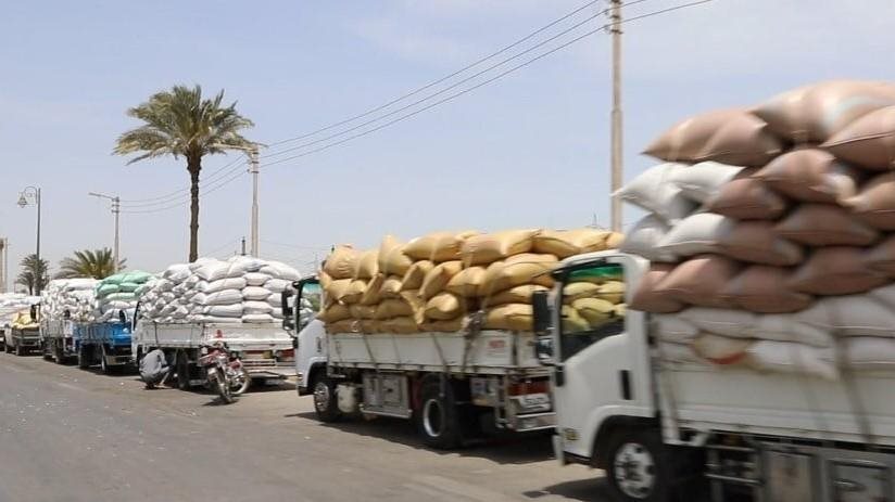 توريد القثمح ببني سويف  توريد القثمح ببني سويف