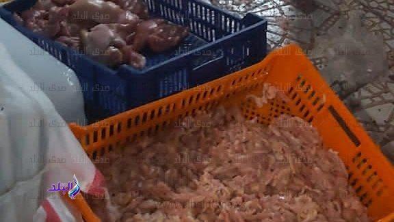 غلق وتشميع مخزن بحوزته ٢ طن دواجن ومشتقاتها غير صالحة