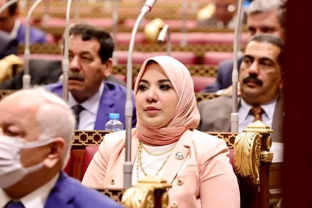 دينا هلالي، عضو لجنة التضامن الاجتماعي بمجلس الشيوخ