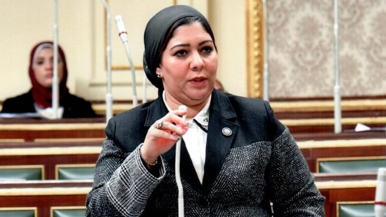 شيماء محمود نبيه، عضو مجلس النواب 