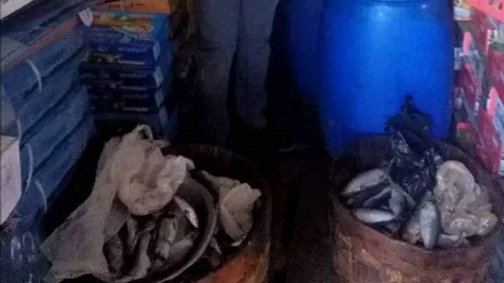 حملة تفتيشية في المنوفية