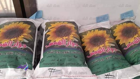 خلال الفاعلية 