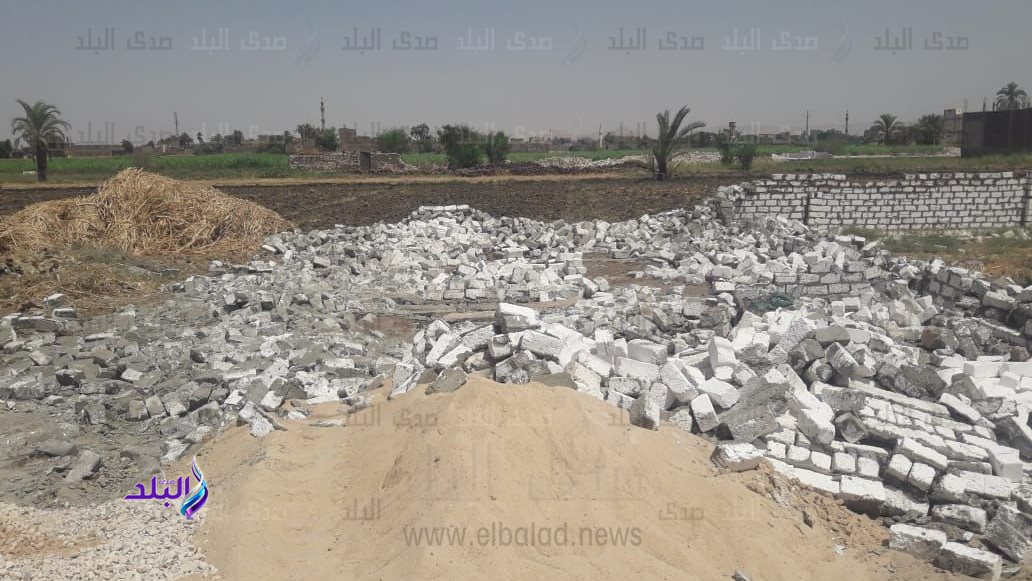 حملة ازالة في المهد  حملة ازالة في المهد