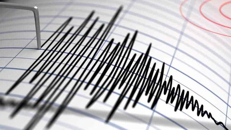 أرشيفية أرشيفية