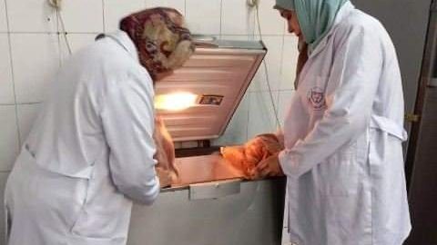 بيطري الشرقية
