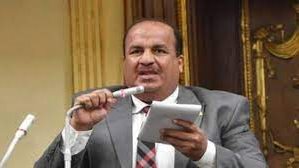  محمد عبد الحميد وكيل لجنة الشئون الاقتصادية بمجلس النواب 
