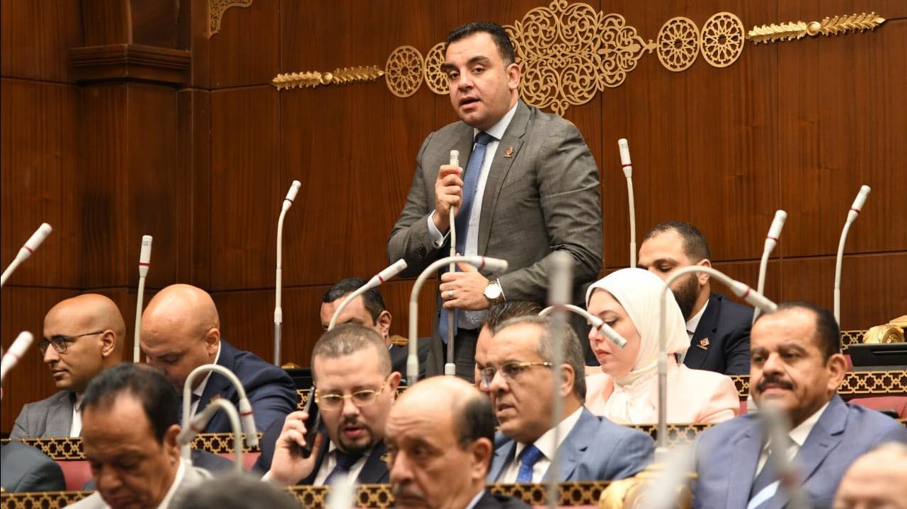 النائب محمد السباعى وكيل لجنة الزراعة والرى بمجلس الشيوخ