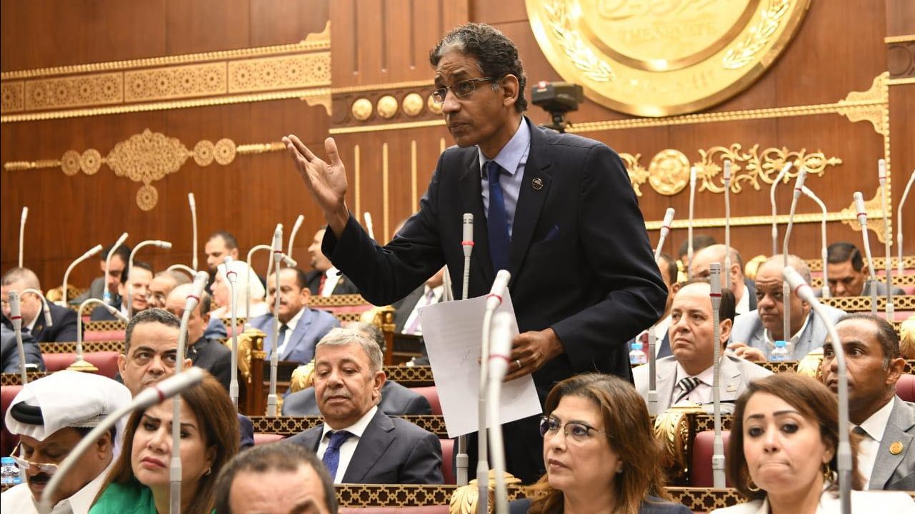 النائب طارق تهامي عضو مجلس الشيوخ