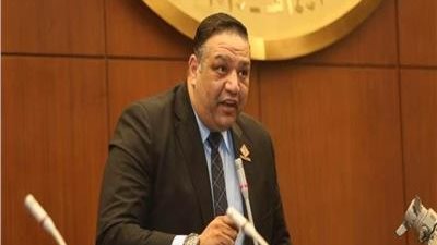 النائب محمد عزمي، عضو  مجلس الشيوخ عن تنسيقية شباب الأحزاب