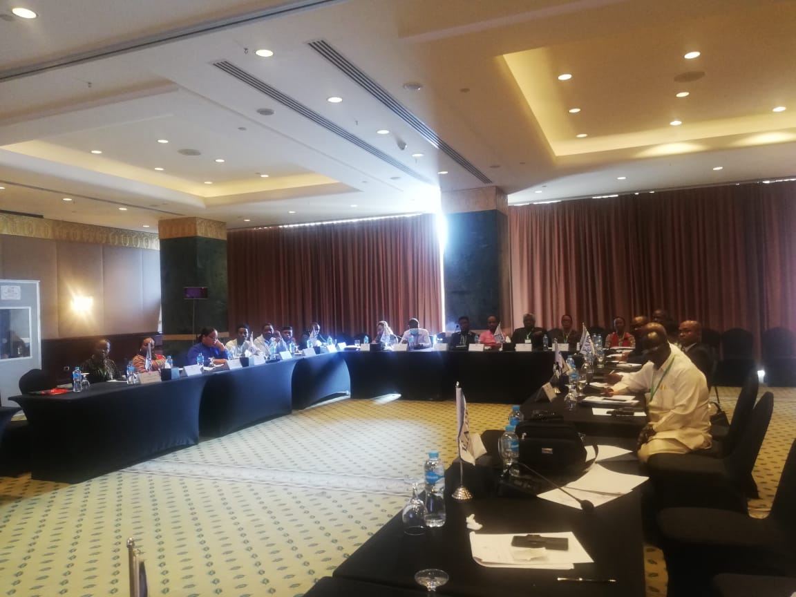 الدورات التدريبية للكوادر المحلية الأفريقية 