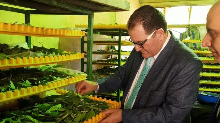 الزراعة تتابع توطين صناعة الحرير الطبيعي في محافظات الجمهوري