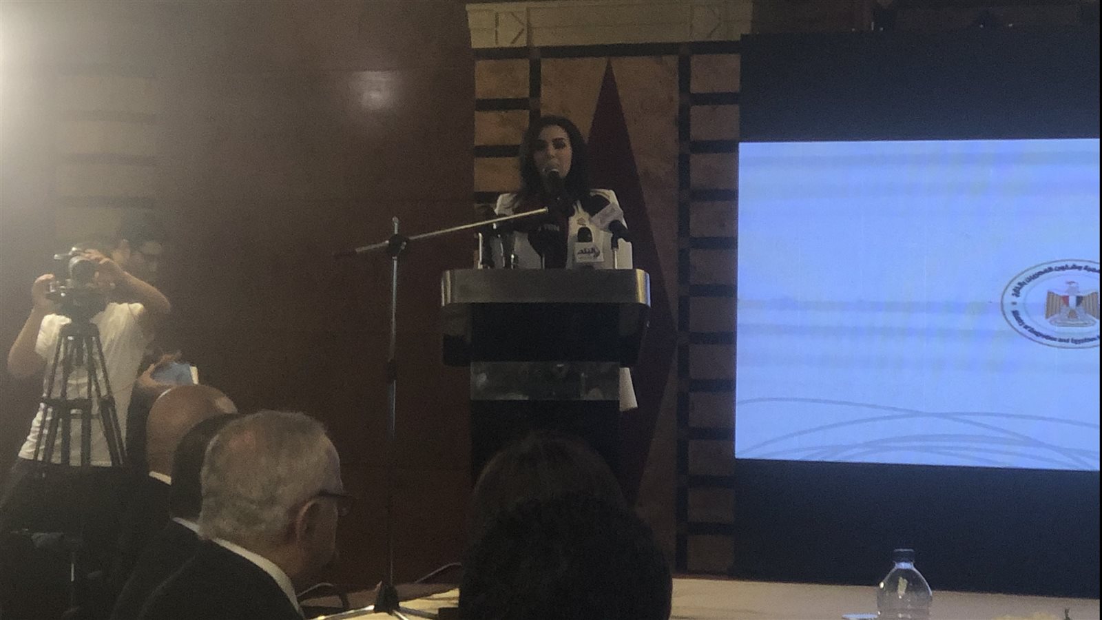 نائبة برلمانية 