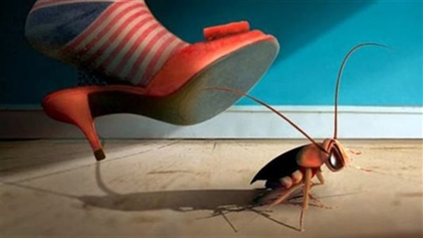 حيل لطرد الأبراص والحشرات الزاحفة