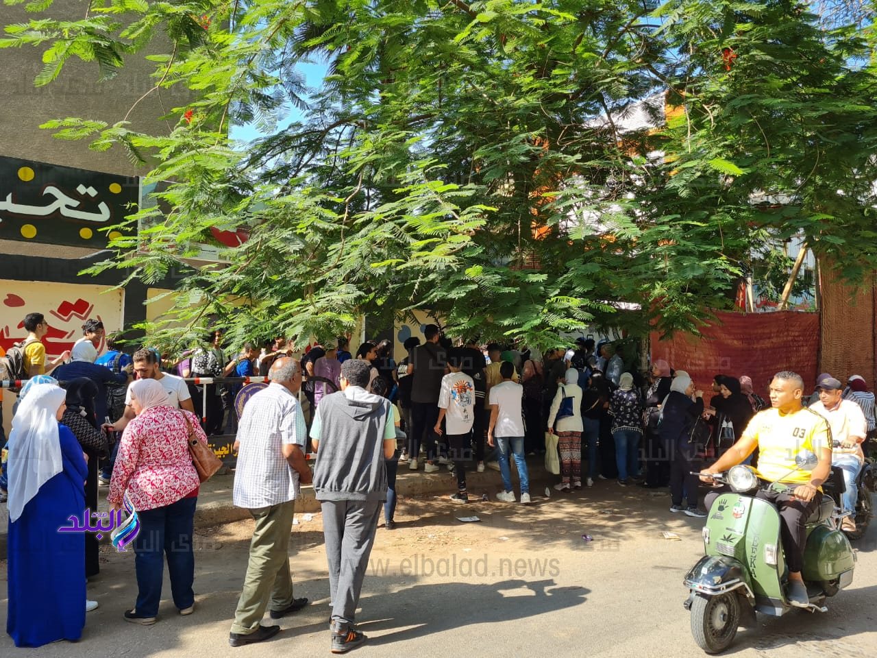 543f2c5f-d8ca-44b1-8d42-be4a5a2ef1b3