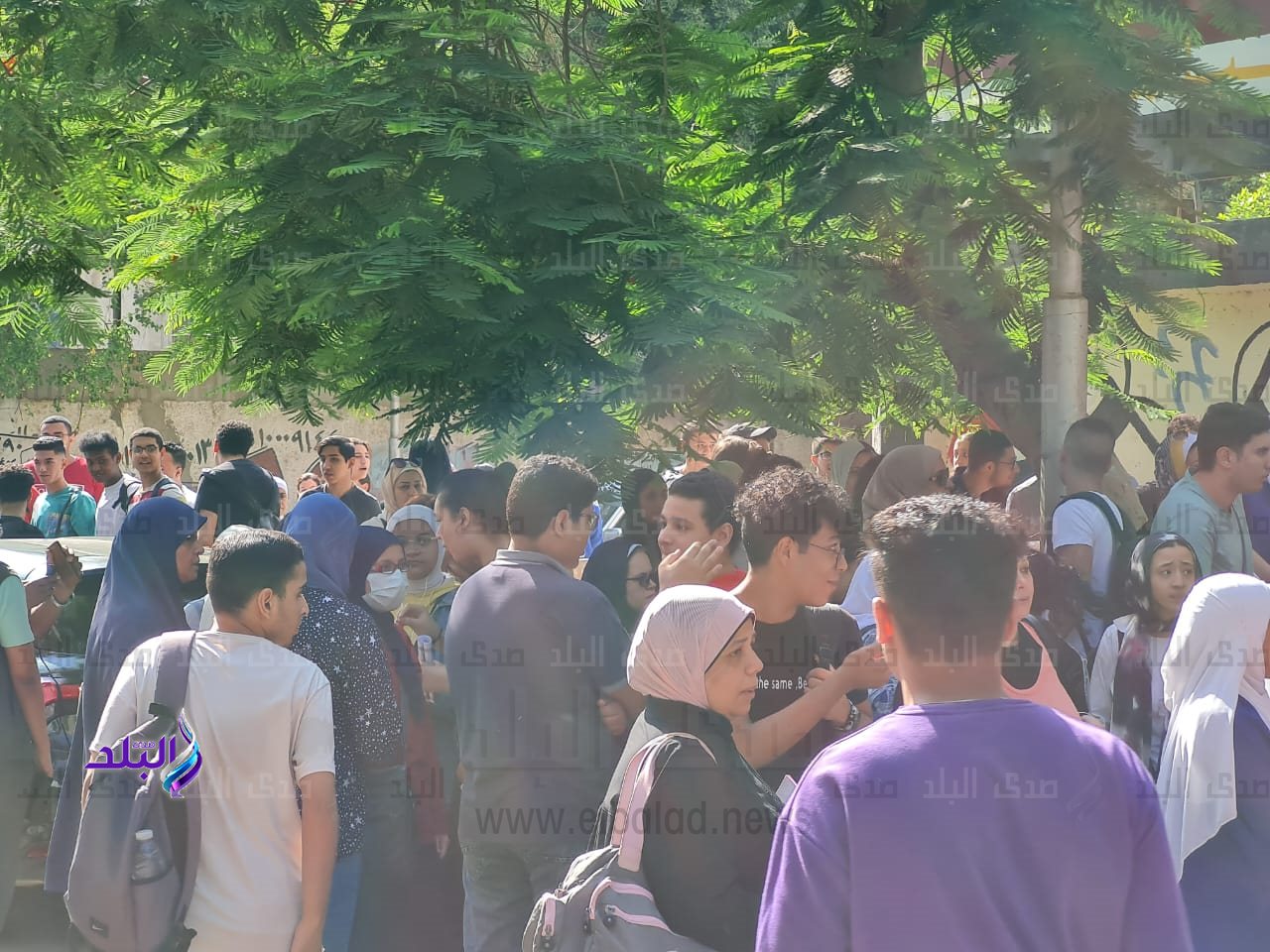 5ef3ece3-feba-4e48-9aea-2fc83189ae62