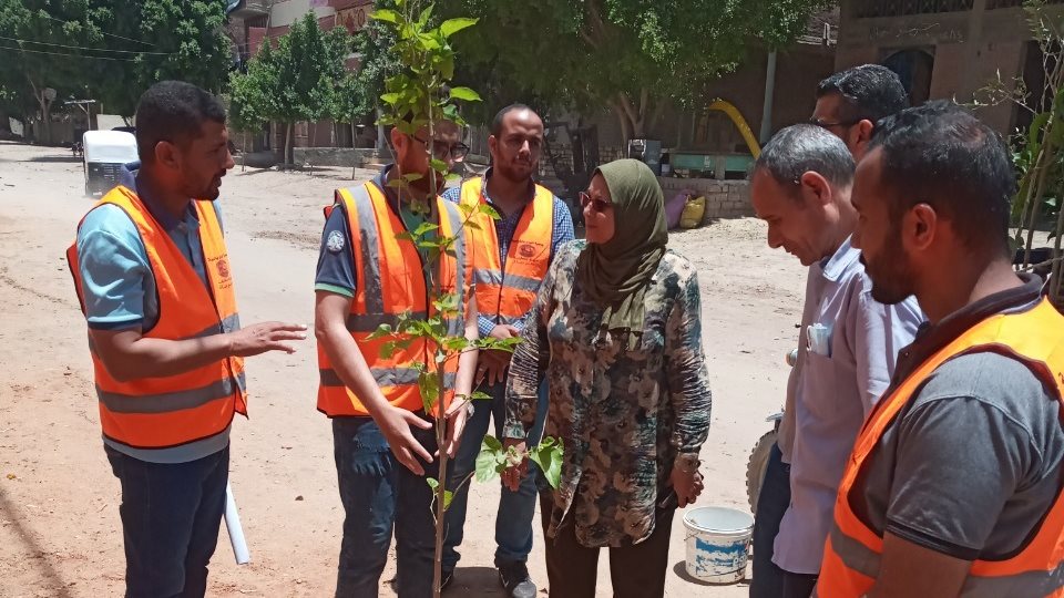 تنفيذ مبادرة زراعة الأشجار بالقوصية 