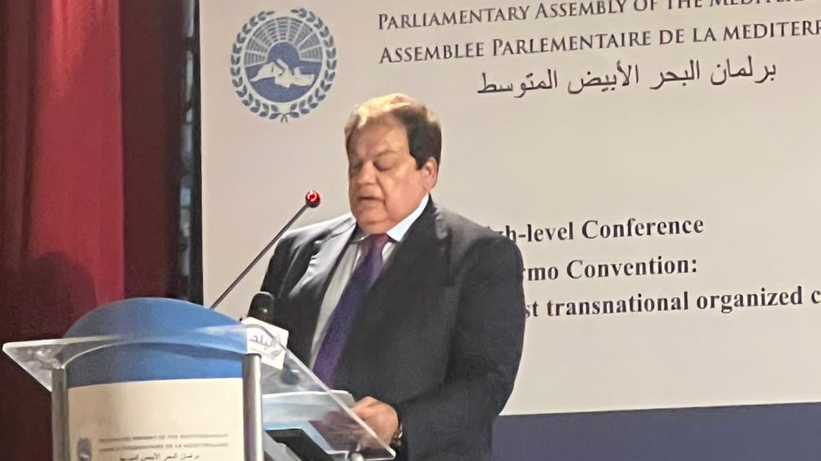 النائب محمد أبو العينين النائب محمد أبو العينين