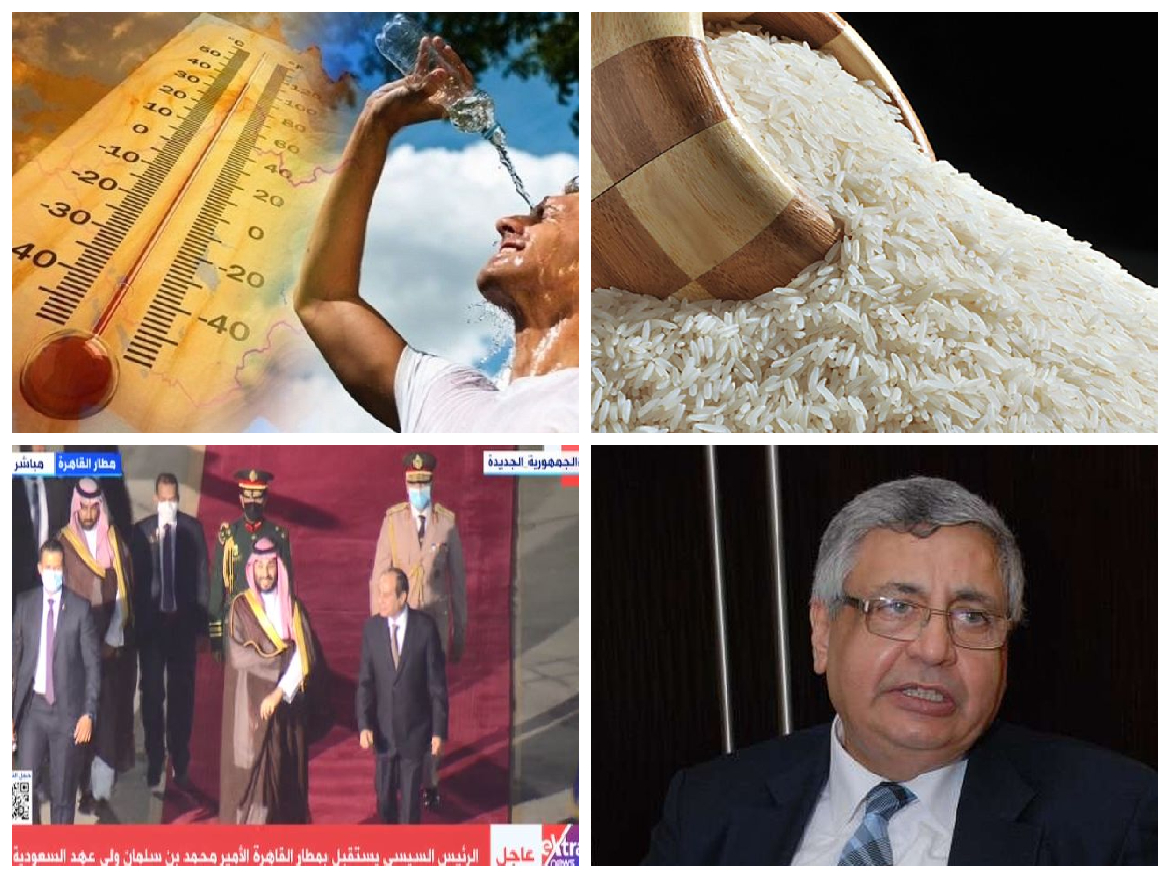 أخبار التوك شو