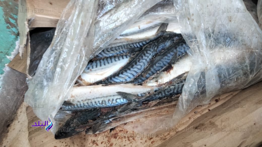 جانب من المضبوطات 