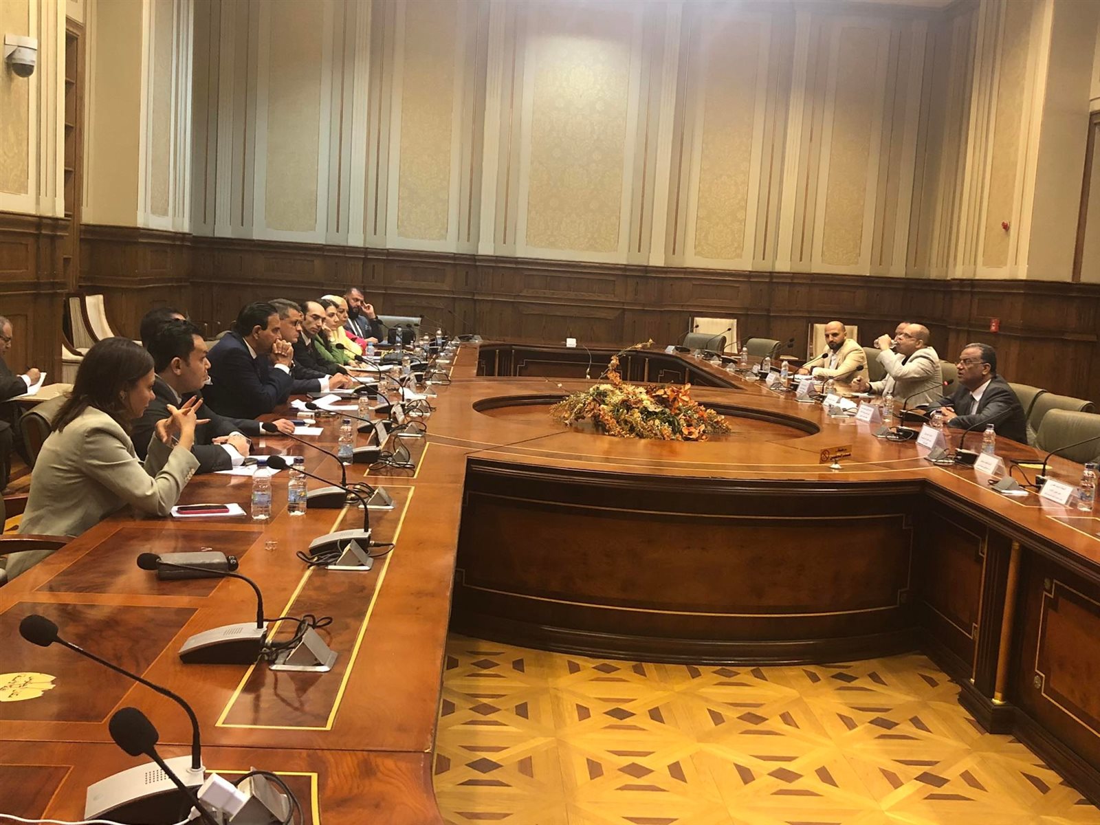 لجنة حقوق الانسان بمجلس النواب