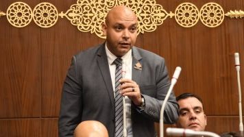 النائب محمود القط