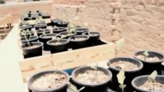 مبادرة مشروعك 