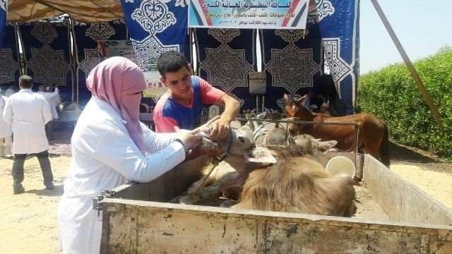 قافلة بيطرية