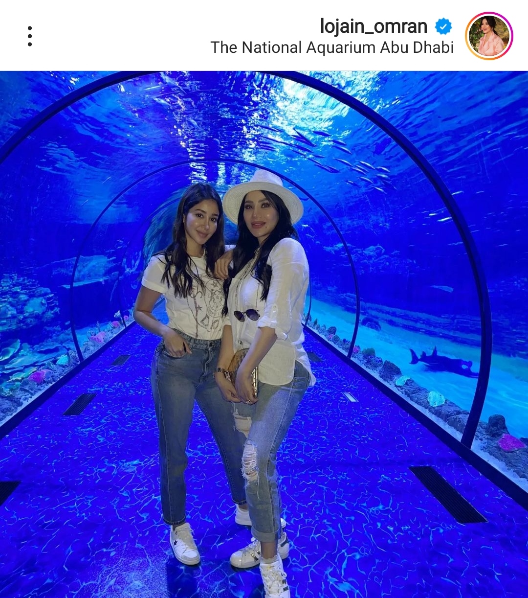 IMG_٢٠٢٢٠٦٢٣_٢٢٠٣٤٧