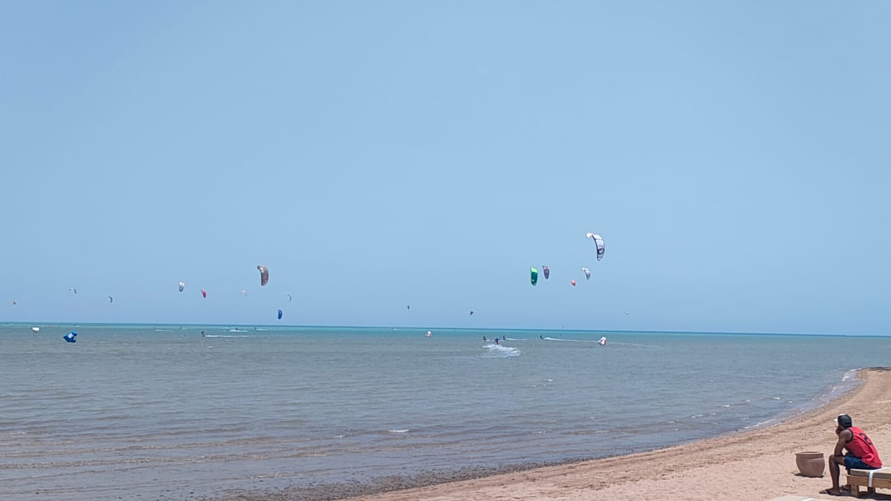 صورة موضوعية