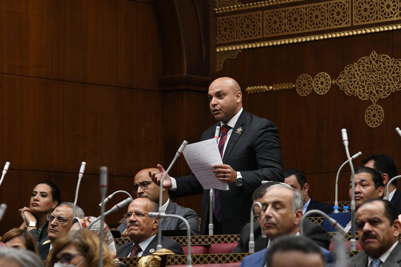 النائب محمود القط