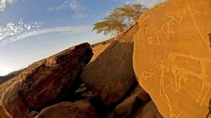 صورة موضوعية 