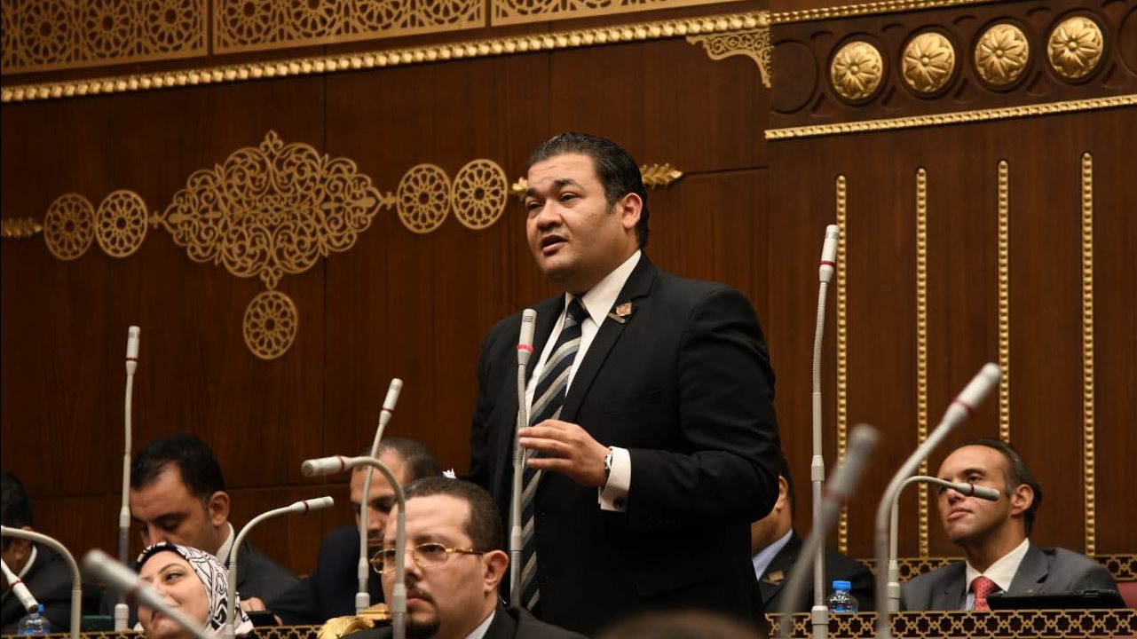 الدكتور محمد عمارة أمين سر لجنة الشباب والرياضة بمجلس الشيوخ