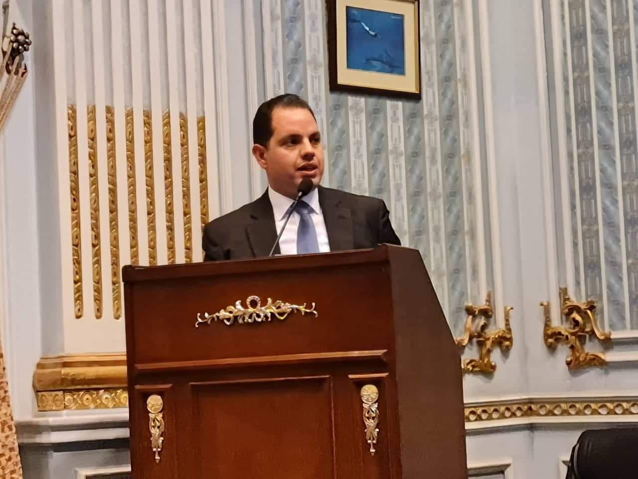 النائب أحمد فوزى