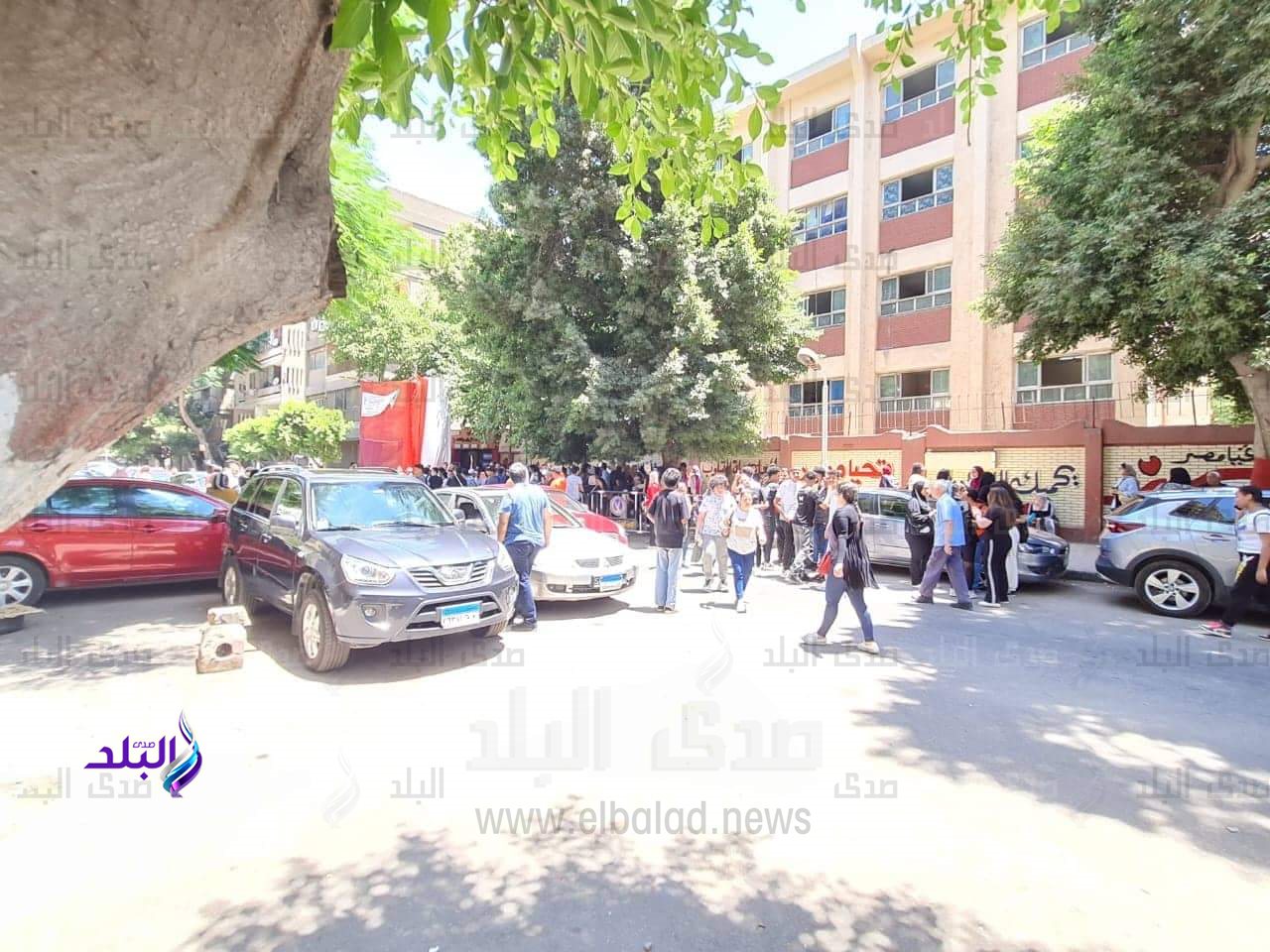 received_5384855371537815